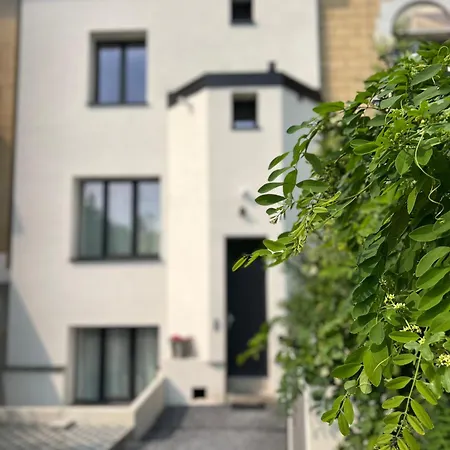 Le Cocon Des Tilleuls - Duplex 2 Ch - Parking Inclus Au Pied Du ! Apartament *