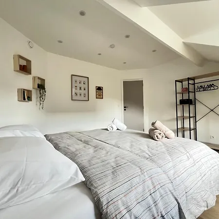Le Cocon Des Tilleuls - Duplex 2 Ch - Parking Inclus Au Pied Du ! * リエージュ