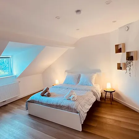 Le Cocon Des Tilleuls - Duplex 2 Ch - Parking Inclus Au Pied Du !